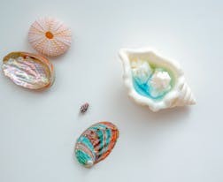 高考填報(bào)志愿總共有幾種填報(bào)模式？每個(gè)填報(bào)模式都分別代表什么意思？